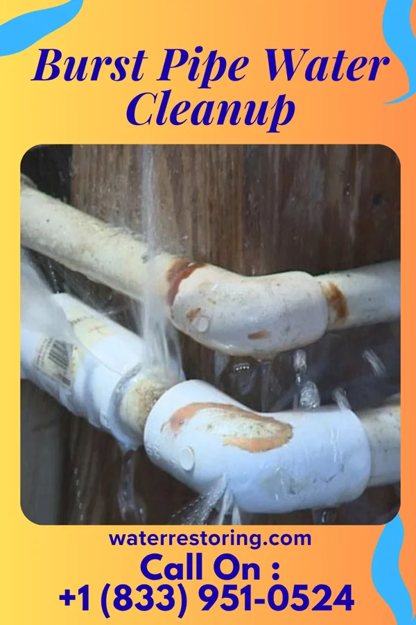 Burst Pipe Water Cleanup in New Prague, MN