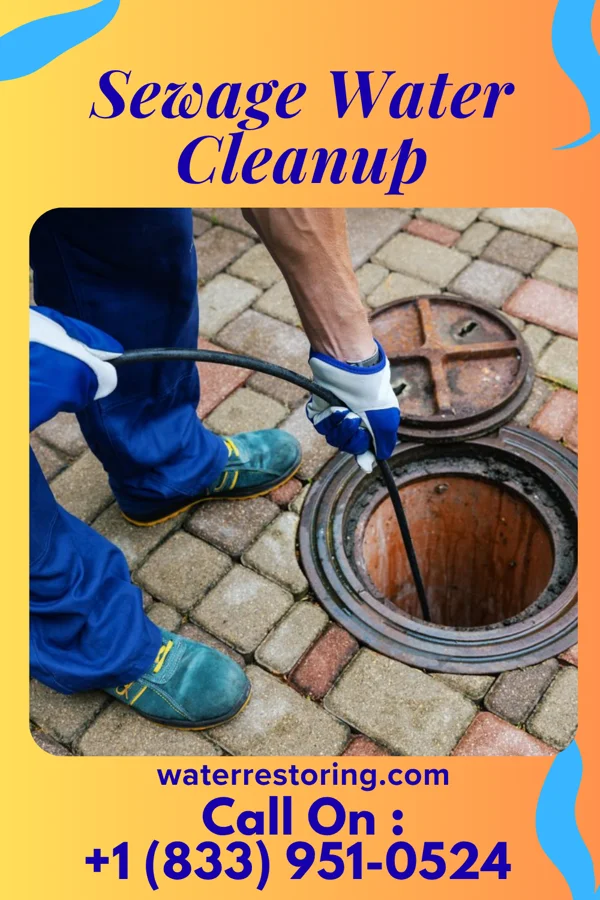 Sewage Water Cleanup in New Prague, MN